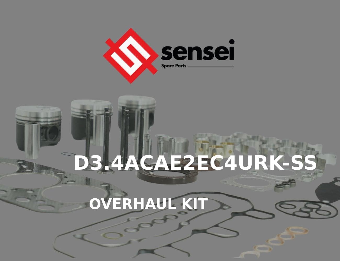 D3.4ACAE2EC4URK-SS