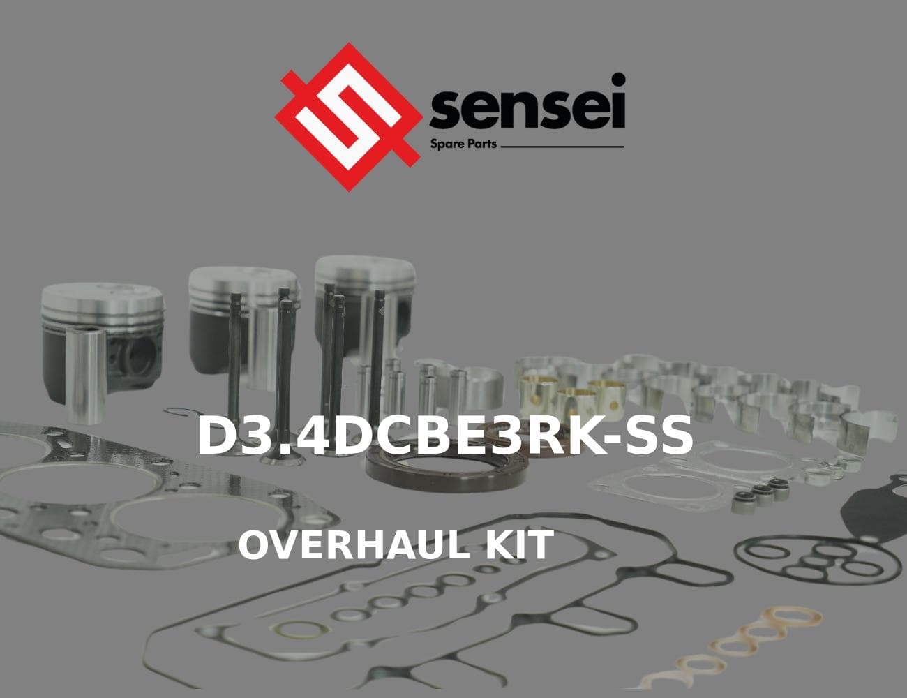 D3.4DCBE3RK-SS