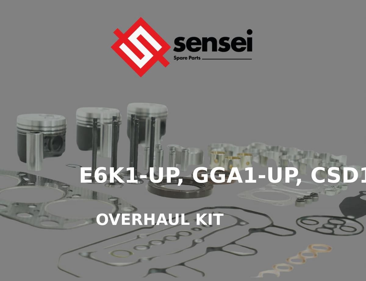 OVERHAUL KIT