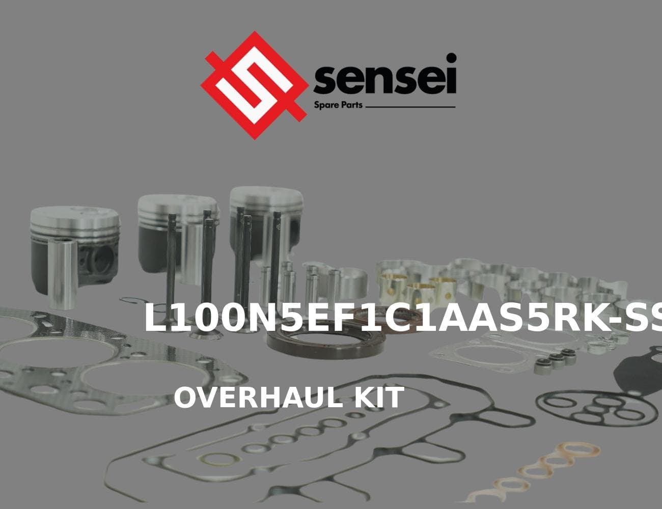 L100N5EF1C1AAS5RK-SS