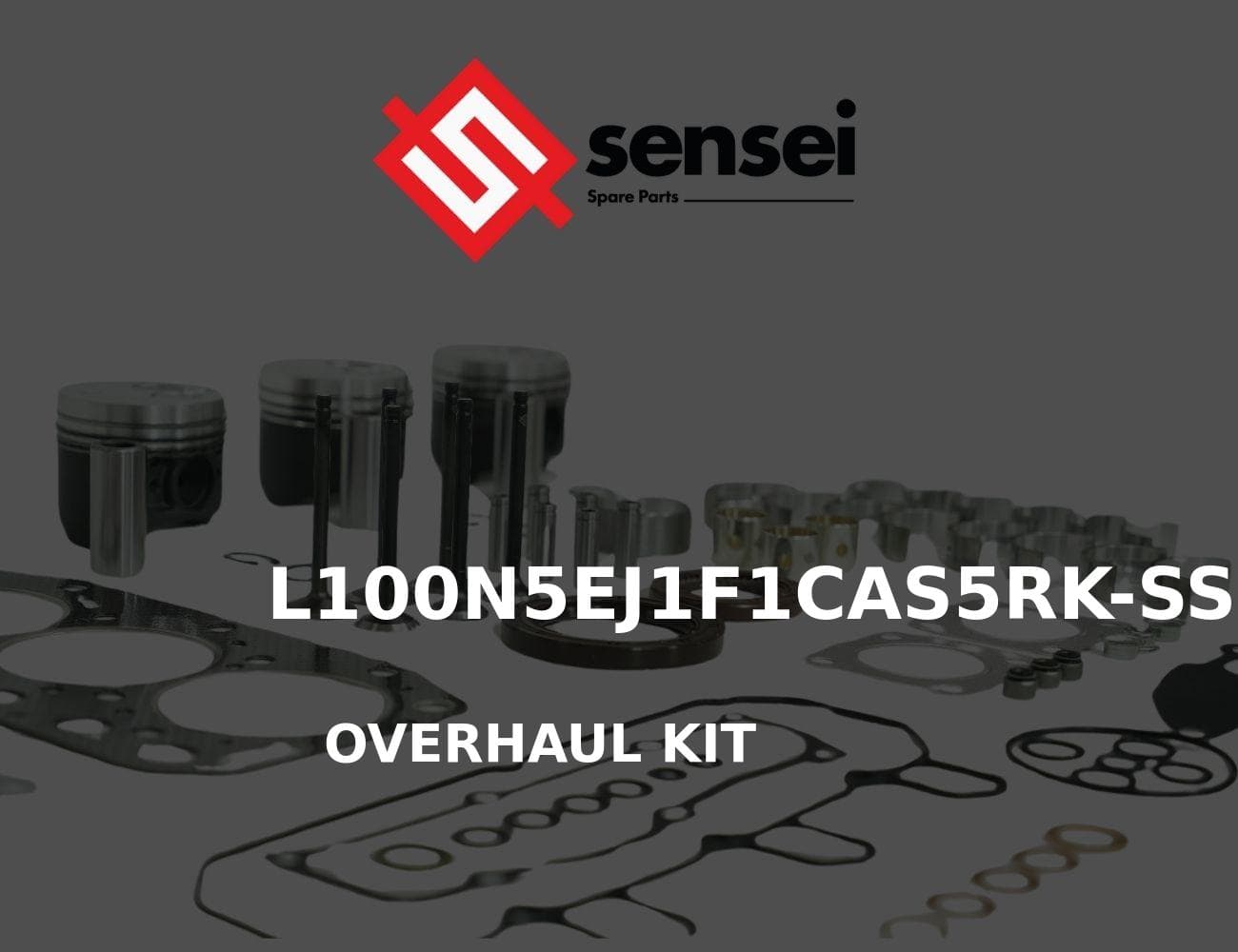 L100N5EJ1F1CAS5RK-SS