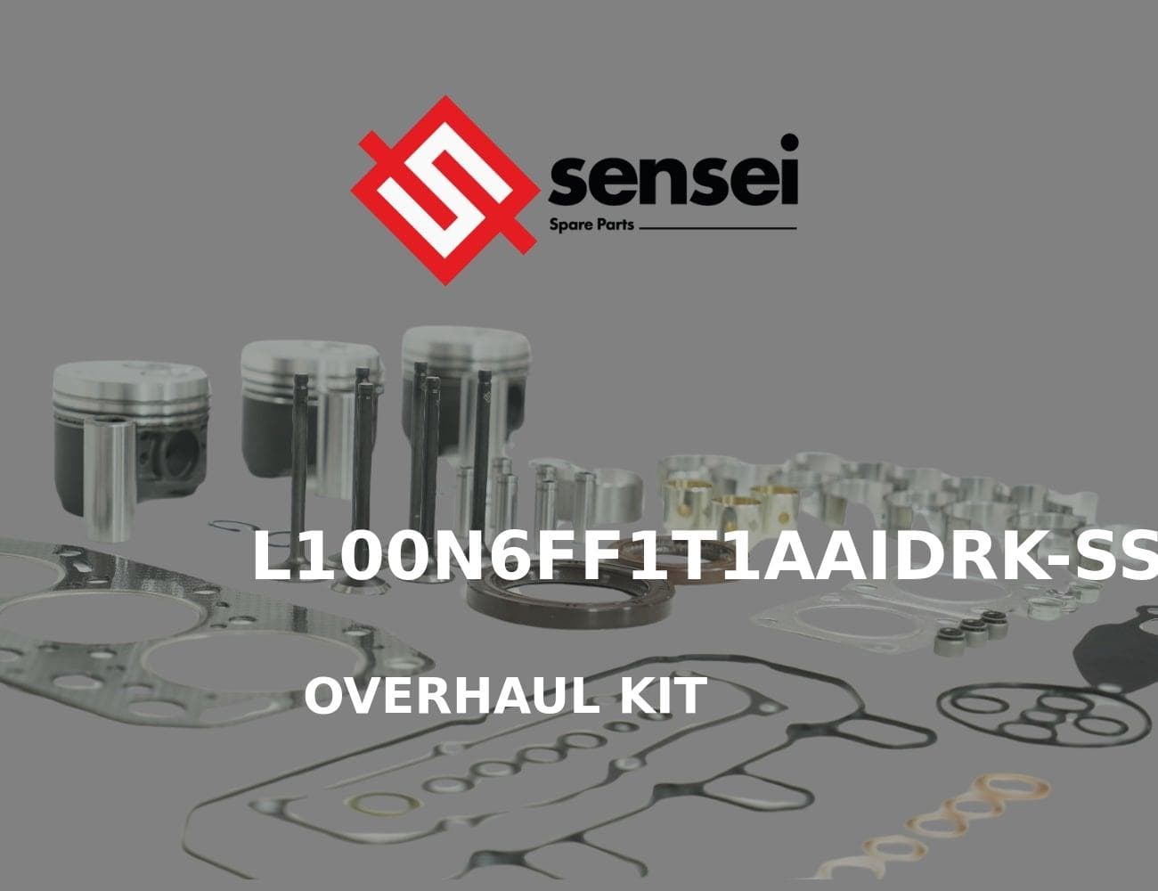 L100N6FF1T1AAIDRK-SS