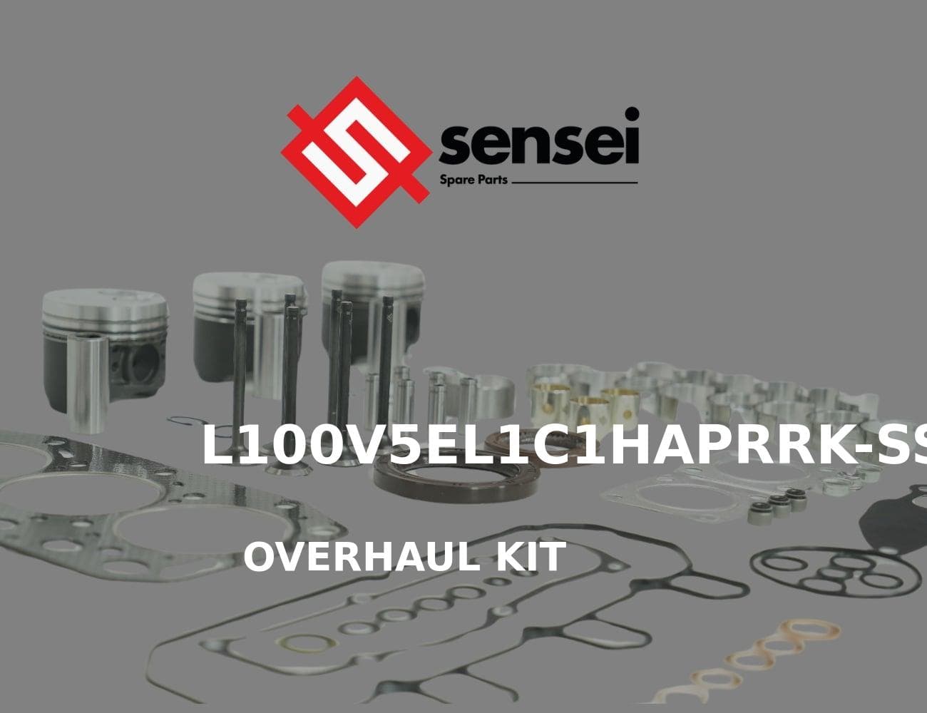 L100V5EL1C1HAPRRK-SS