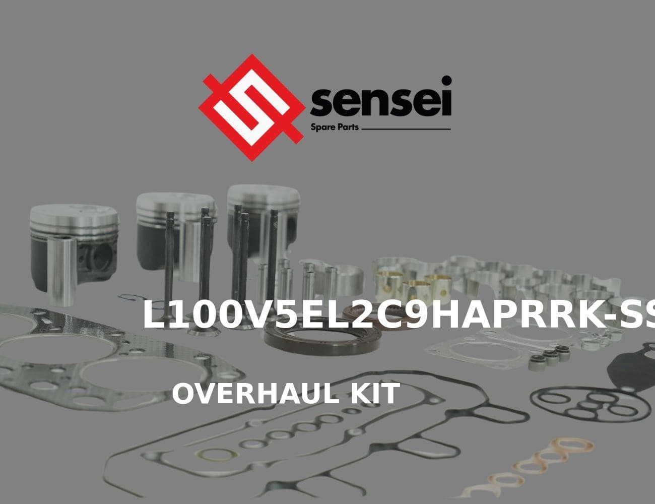 L100V5EL2C9HAPRRK-SS