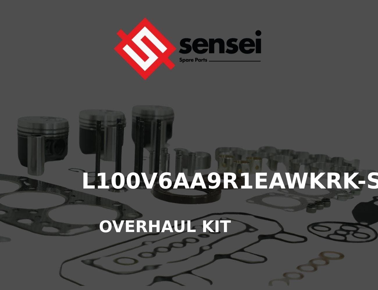 L100V6AA9R1EAWKRK-SS