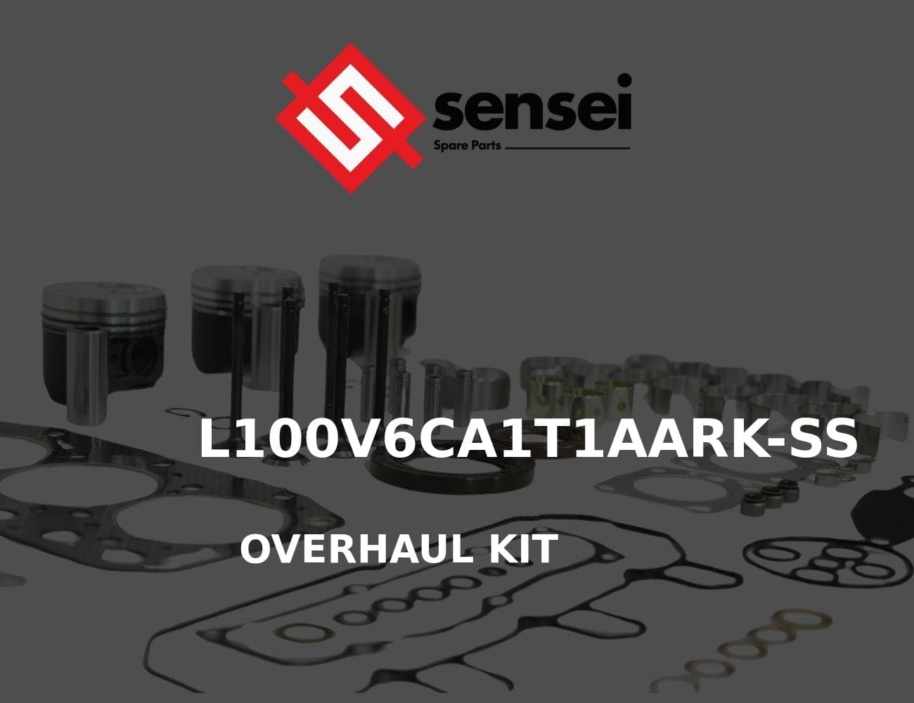 L100V6CA1T1AARK-SS