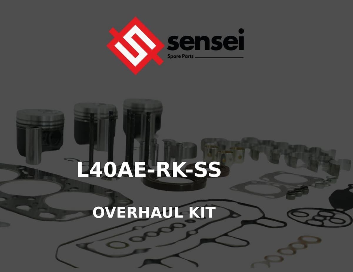 OVERHAUL KIT