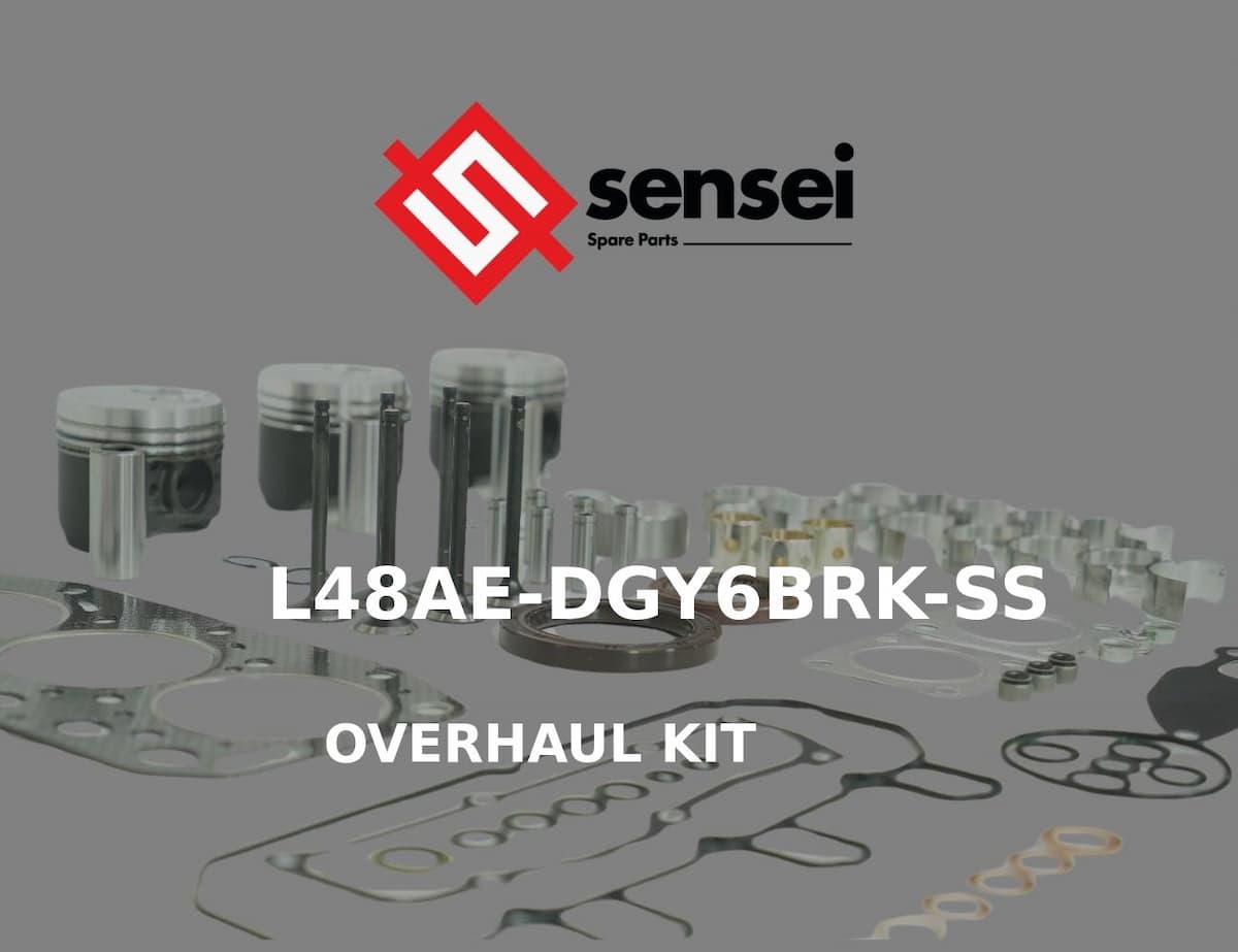 OVERHAUL KIT