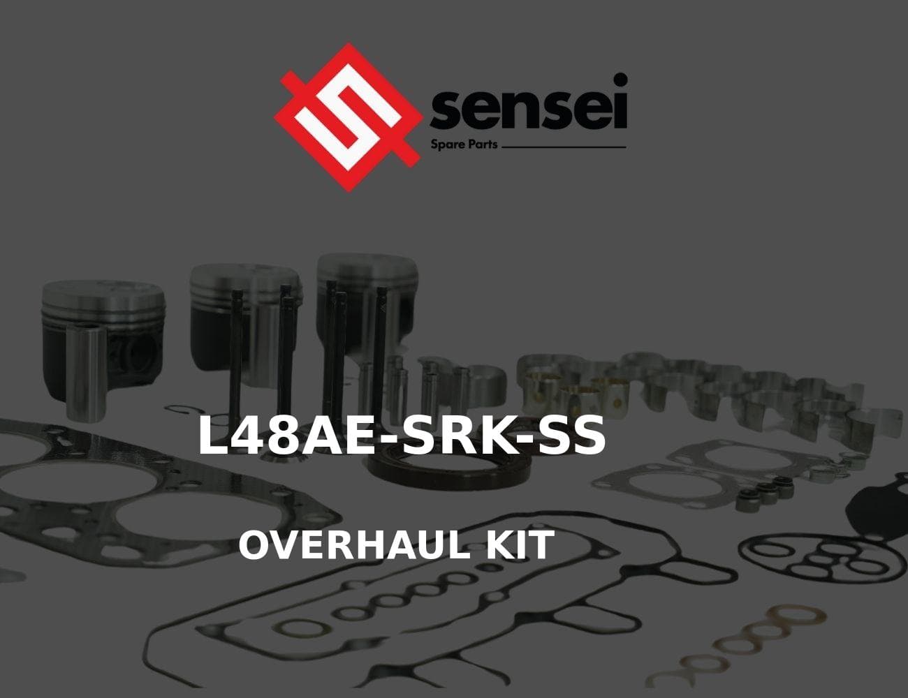 L48AE-SRK-SS