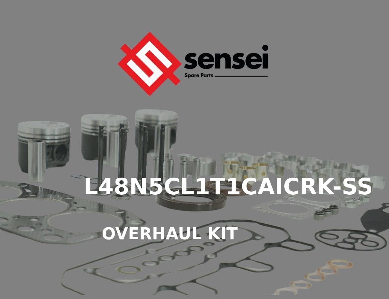 L48N5CL1T1CAICRK-SS
