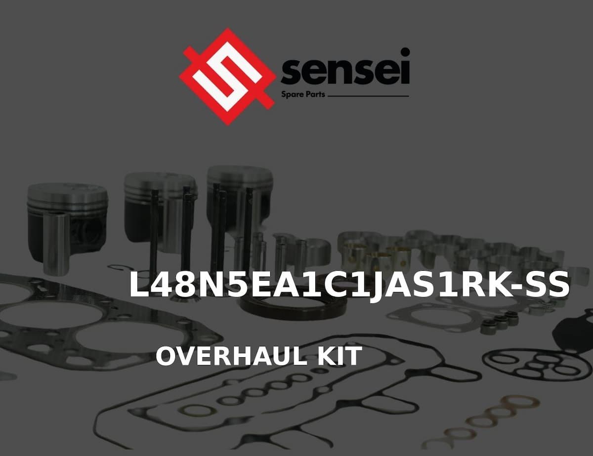 OVERHAUL KIT