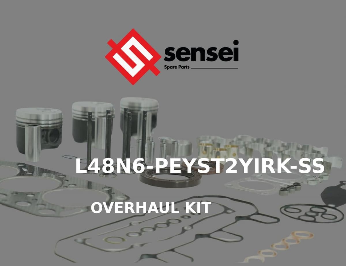 OVERHAUL KIT