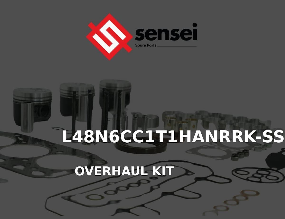 OVERHAUL KIT