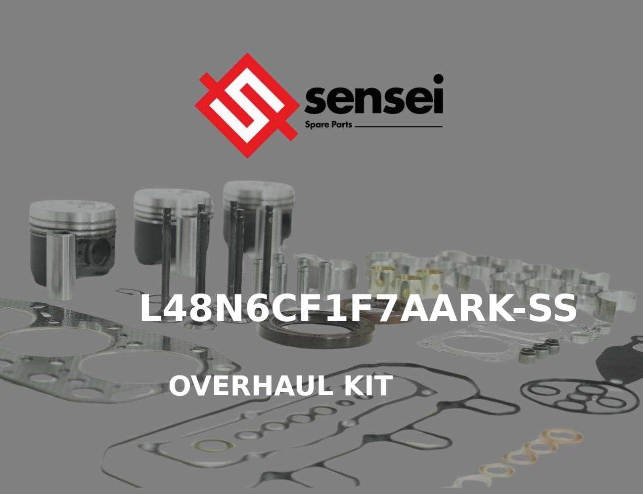 L48N6CF1F7AARK-SS