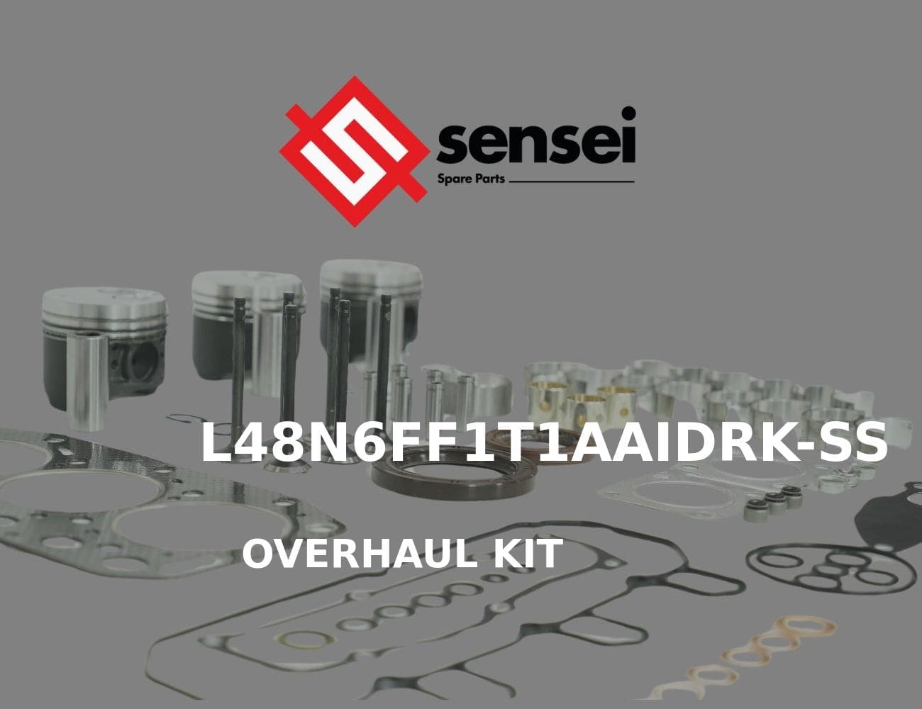 L48N6FF1T1AAIDRK-SS
