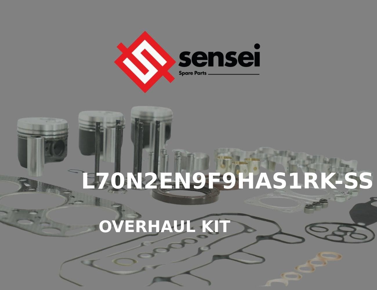 L70N2EN9F9HAS1RK-SS