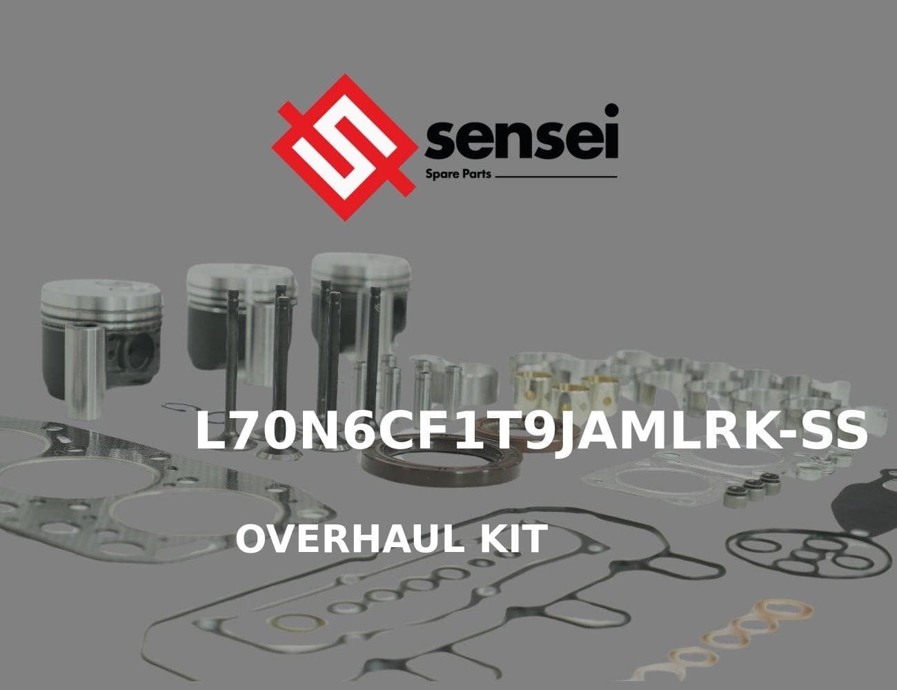 L70N6CF1T9JAMLRK-SS