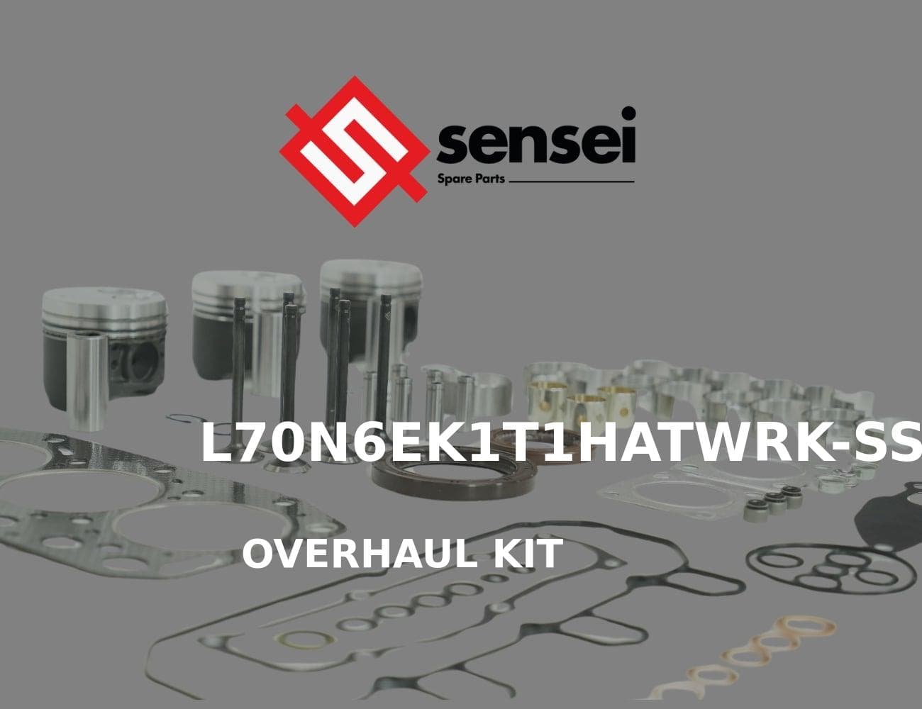 L70N6EK1T1HATWRK-SS
