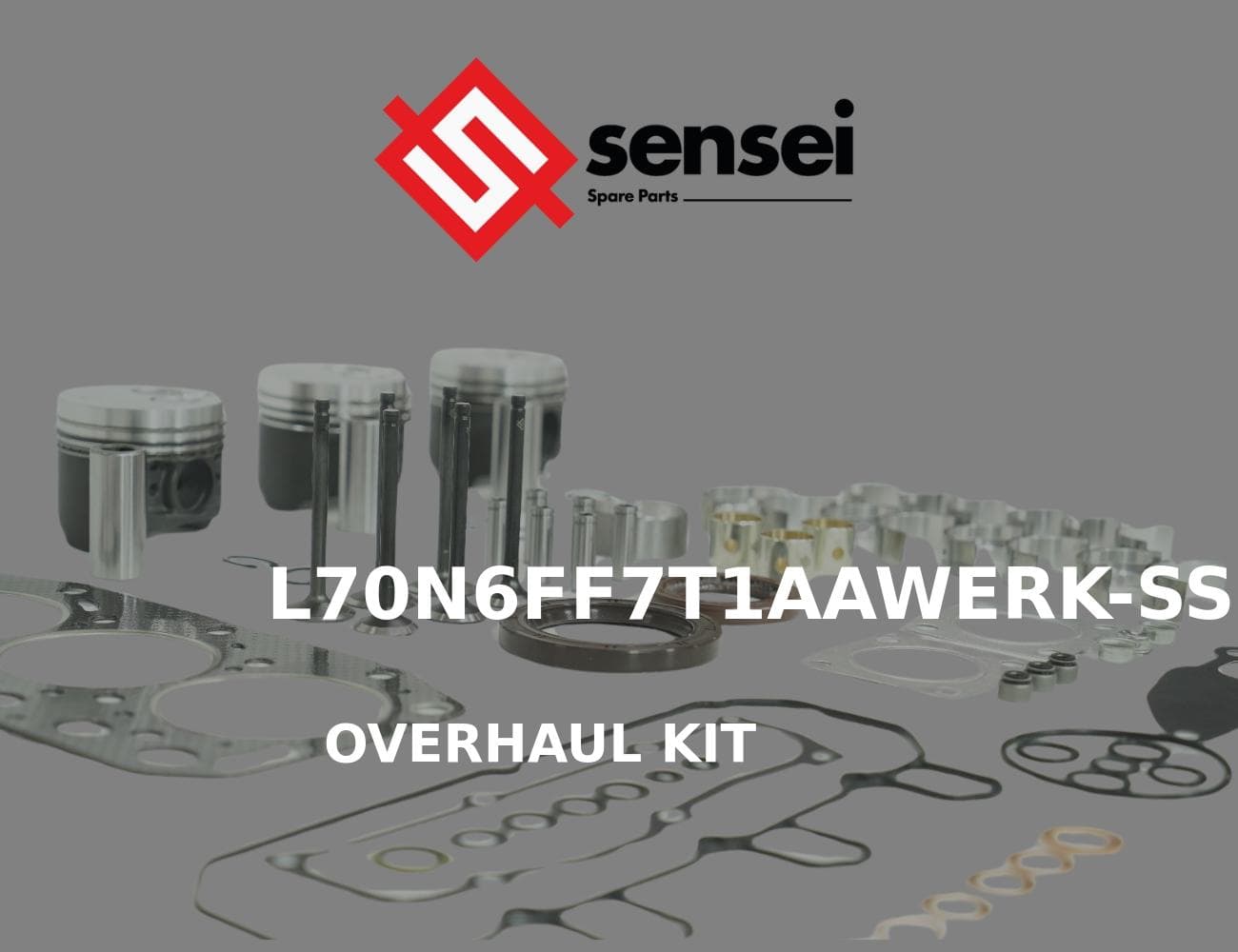 L70N6FF7T1AAWERK-SS