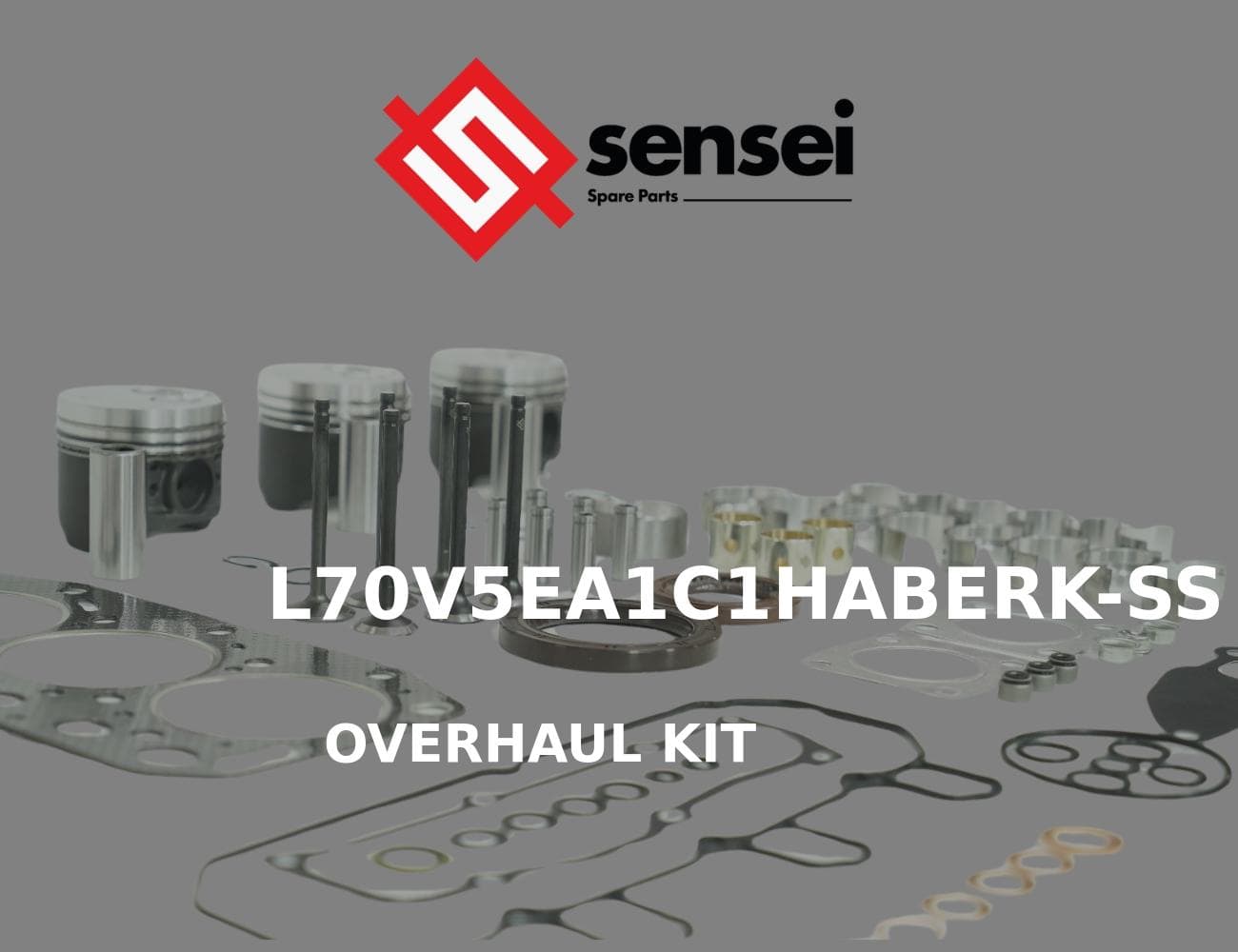 L70V5EA1C1HABERK-SS