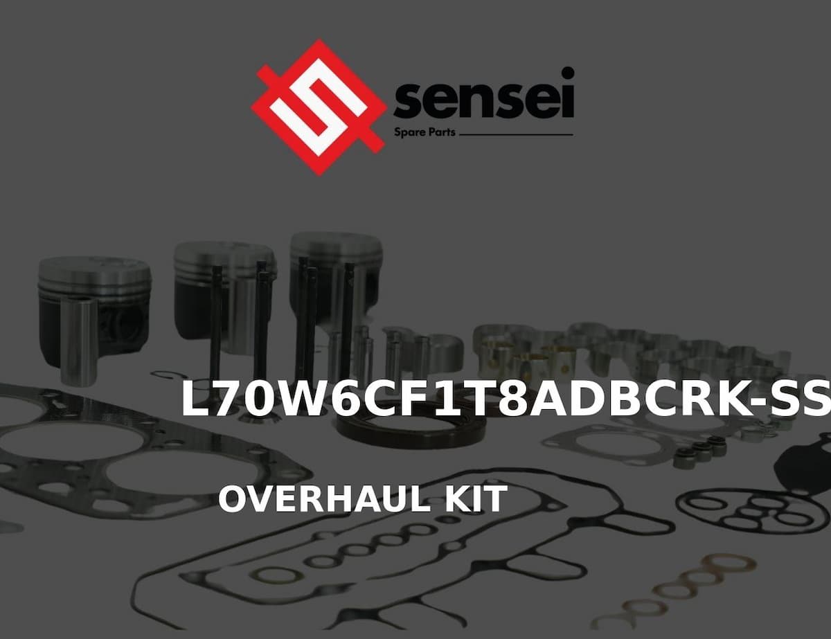 OVERHAUL KIT