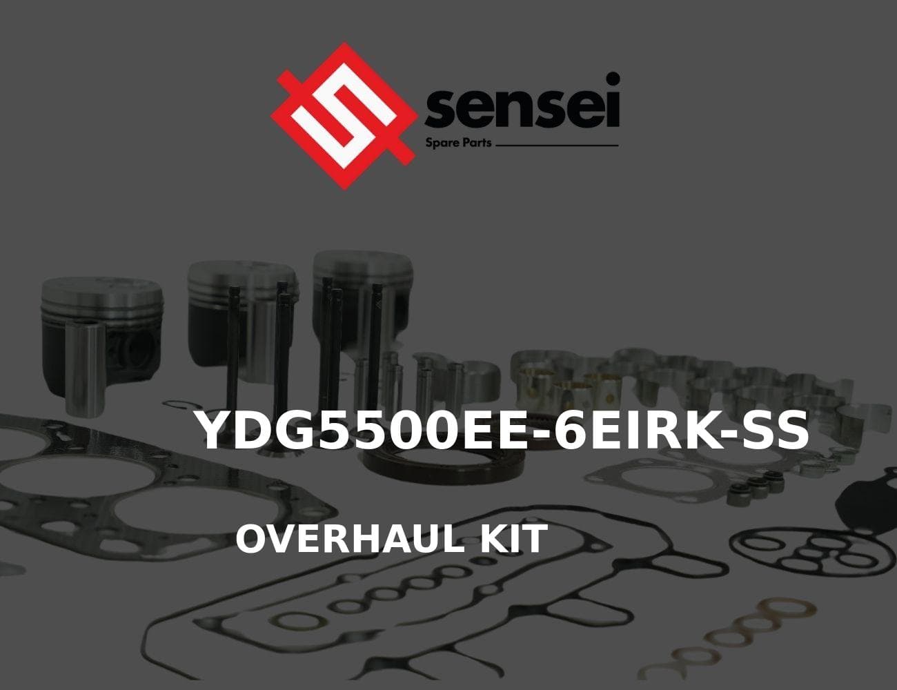 YDG5500EE-6EIRK-SS