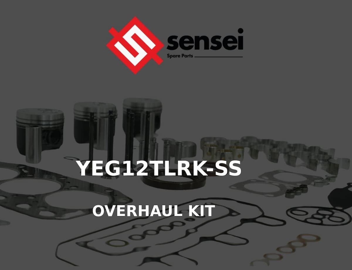 OVERHAUL KIT