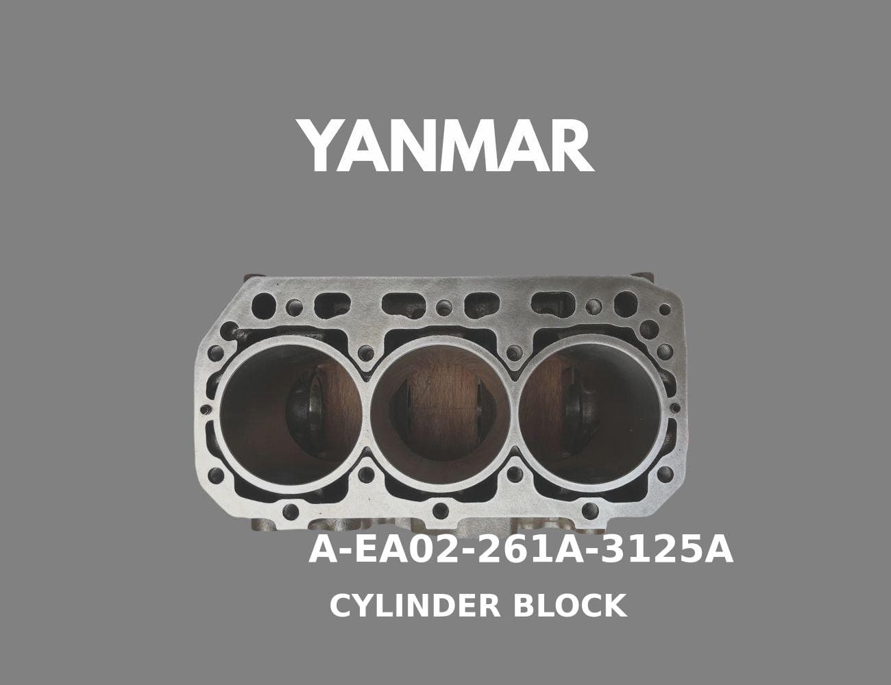 1G896-03040-SS