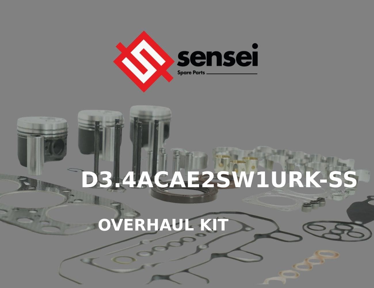 D3.4ACAE2SW1URK-SS