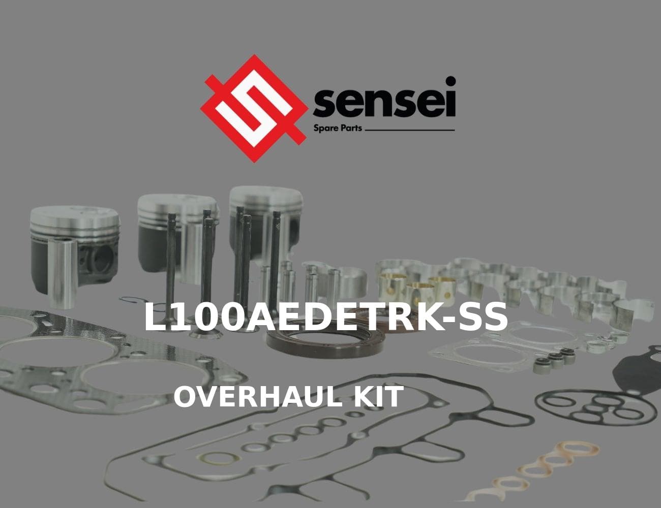 L100AEDETRK-SS