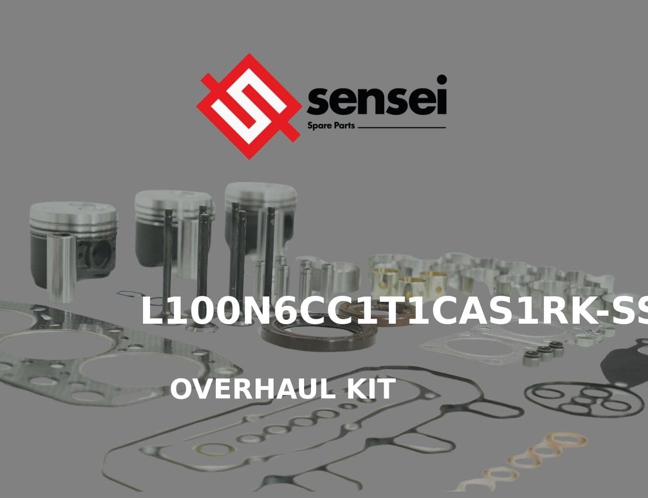L100N6CC1T1CAS1RK-SS