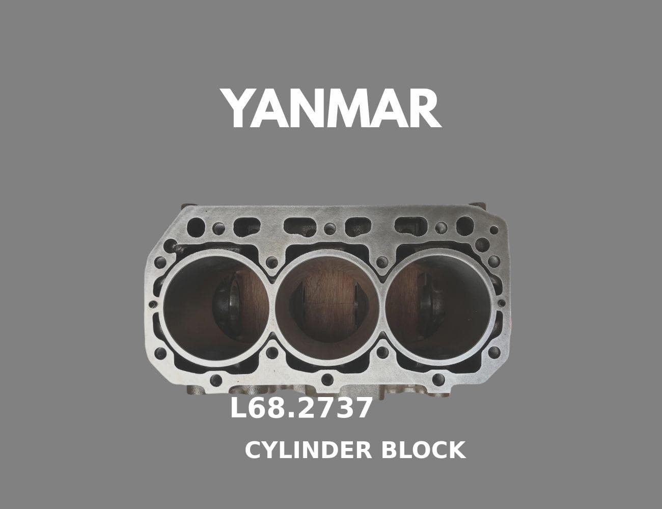 1J700-23010-SS