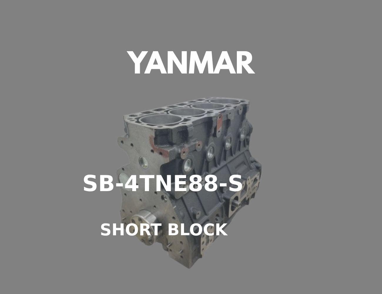 SB-4TNE88-S
