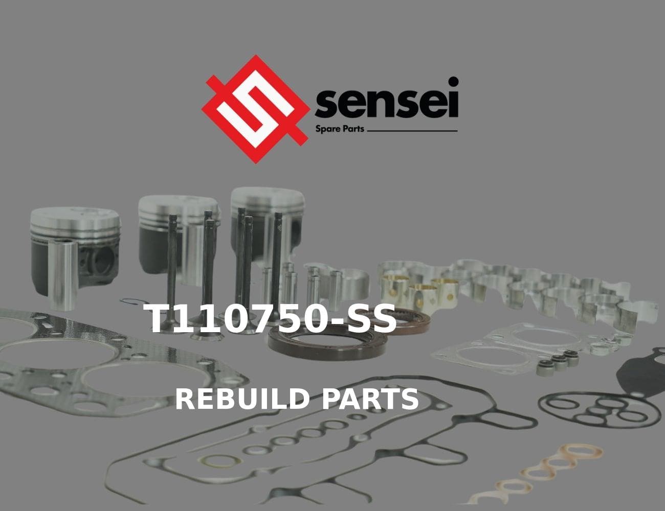 22190-100002-SS