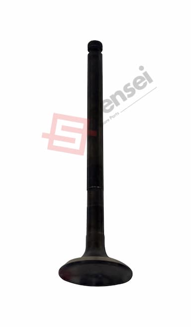 119578-11110-SS 1