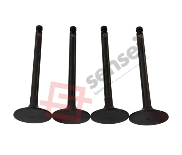 INTAKE VALVE